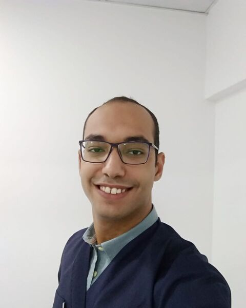 د. هاشم هشام